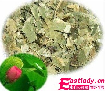 荷葉減肥茶 6種好 茶 品