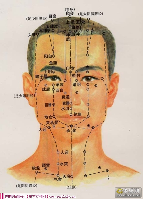 顏面針灸減肥的穴位有哪些
