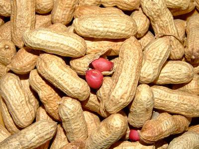 月經(jīng)不調(diào)能吃花生嗎 常吃花生調(diào)經(jīng)又豐胸