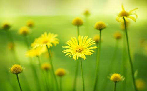 女人絕經(jīng)后 當(dāng)心這6種疾病找上你