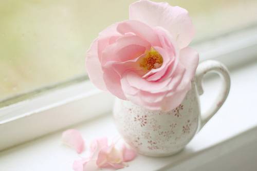 白帶多且發(fā)黃是怎么回事 這是疾病癥狀嗎