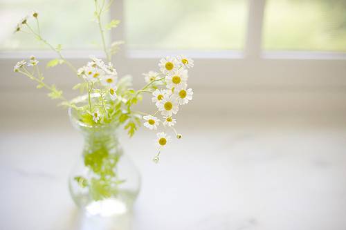 白帶多且發(fā)黃是怎么回事 這是疾病癥狀嗎