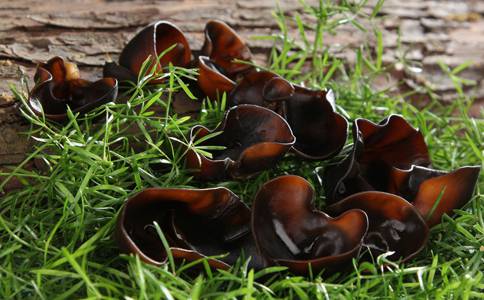 預防乳腺癌的食物 黑木耳既抗癌又防便秘