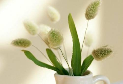 女人絕經(jīng)后 當(dāng)心這6種疾病找上你