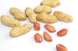 月經(jīng)不調(diào)能吃花生嗎 常吃花生調(diào)經(jīng)又豐胸