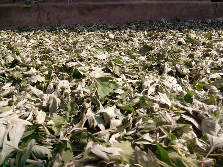 更年期痛經(jīng)怎么辦 9個食療方幫你調(diào)理