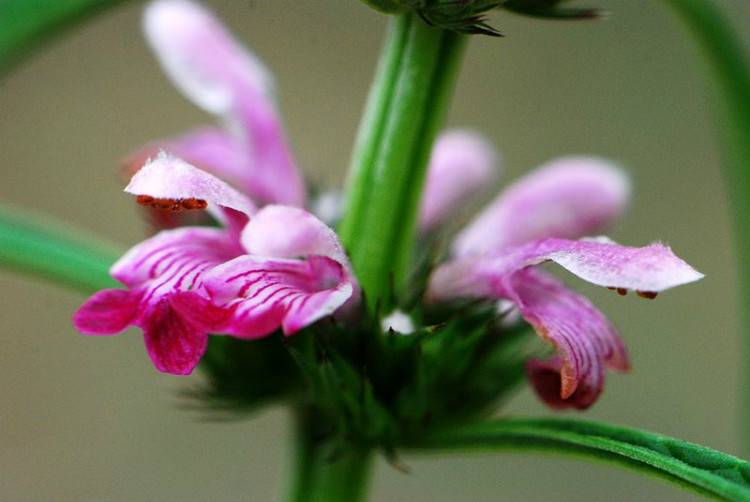 痛經(jīng)需分型治療 對(duì)癥下藥才是關(guān)鍵