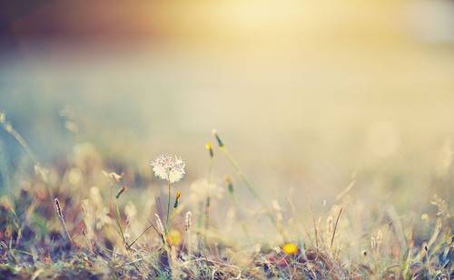 女人絕經(jīng)后 當(dāng)心這6種疾病找上你