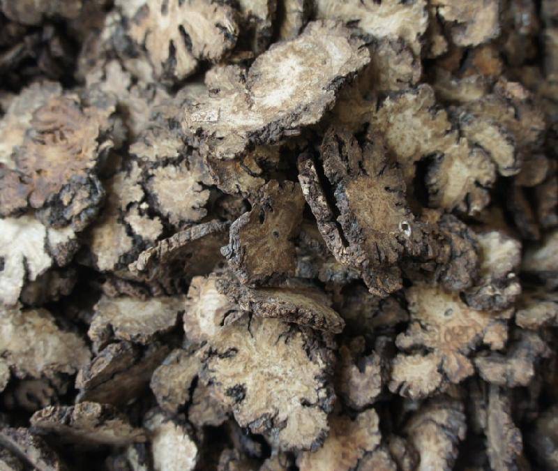 女性月經(jīng)不調(diào)可吃川芎嗎 川芎的功效有哪些