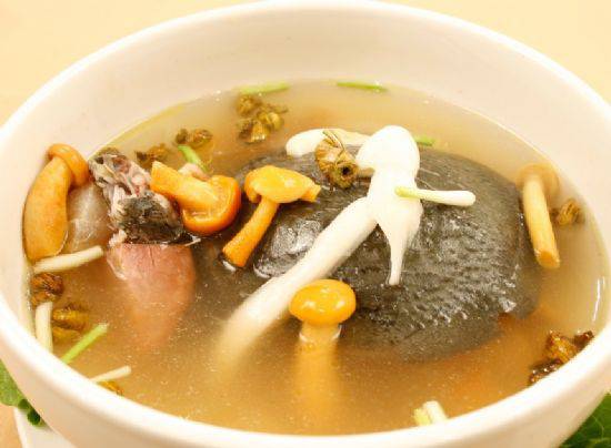 解析吃甲魚能預(yù)防乳腺癌嗎