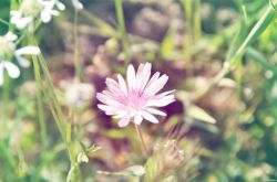 女人絕經(jīng)后 當(dāng)心這6種疾病找上你