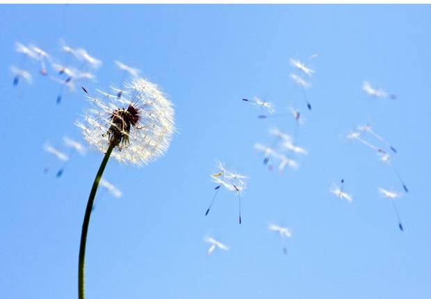 3大偏方幫你治療慢性乳腺炎