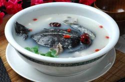 月經(jīng)不調(diào)能吃甲魚(yú)嗎 滋陰壯陽(yáng)的上好佳品