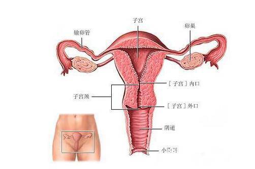 造成子宮疾病的元兇 犯了兩條就該小心了