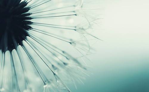 女人絕經(jīng)后 當(dāng)心這6種疾病找上你