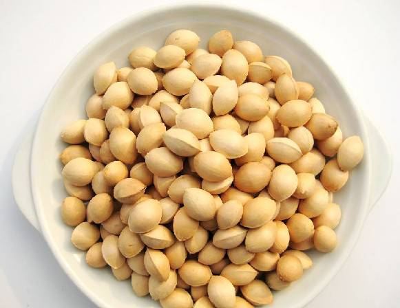 白果的好處多 也可治女性月經(jīng)不調(diào)