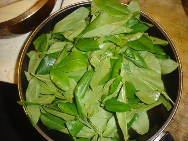 乳腺炎吃什么藥 這些偏方你一定要知道