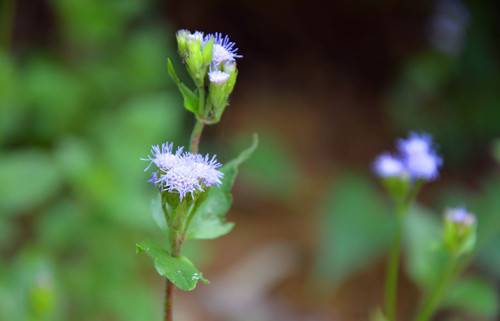 女人絕經(jīng)后 當(dāng)心這6種疾病找上你
