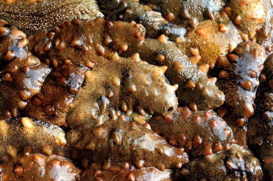 四大食療方幫你調(diào)理卵巢早衰