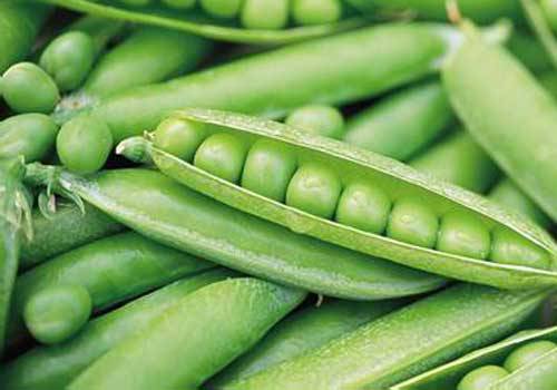 多吃含葉酸的食品能幫助女性保養(yǎng)卵巢