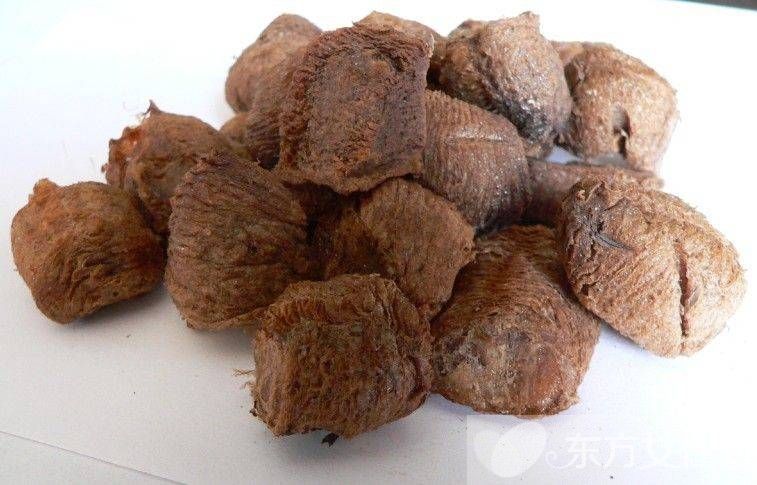 陰道炎可以根治嗎 治療陰道炎的食療方法推薦