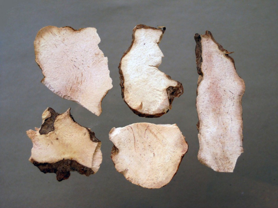 尿道炎怎么辦 治療尿道炎的中藥材有哪些