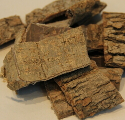 杜仲的功效 杜仲降壓的化學成分與作用