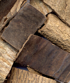 杜仲茶的功效 杜仲茶有哪些減肥作用