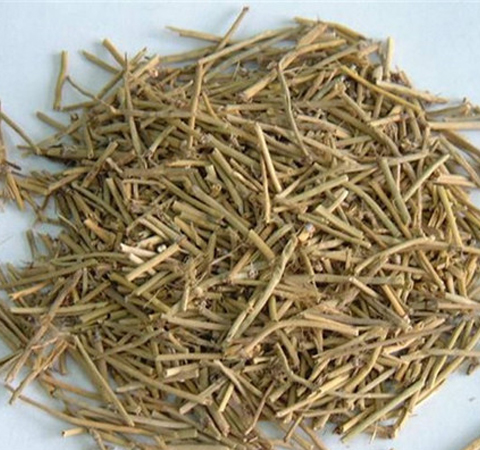 麻黃的功效與作用 麻黃到底能干什么