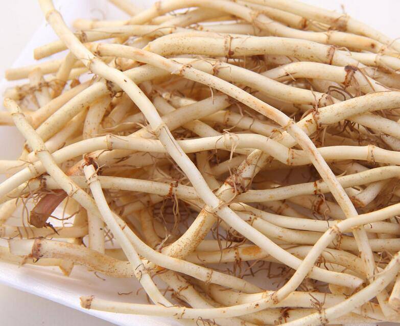 深究魚腥草的功效 魚腥草還能這樣吃