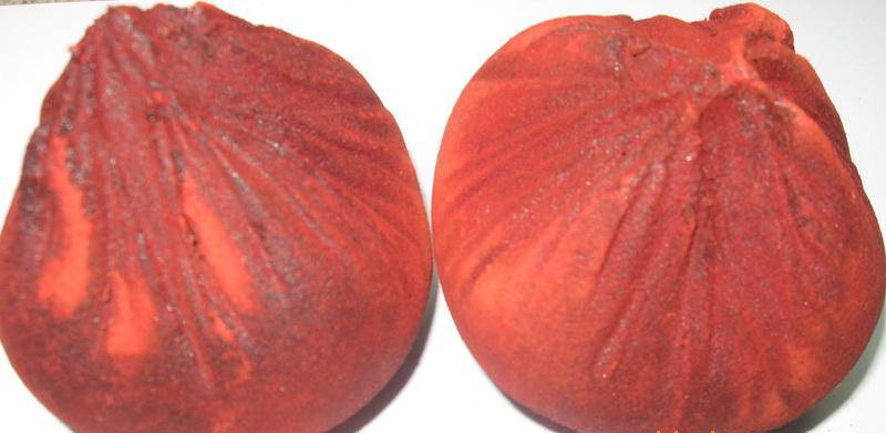 血竭的功效與作用及食用方法大全