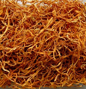 蟲草花的功效與作用 平喘止咳壯陽補(bǔ)腎