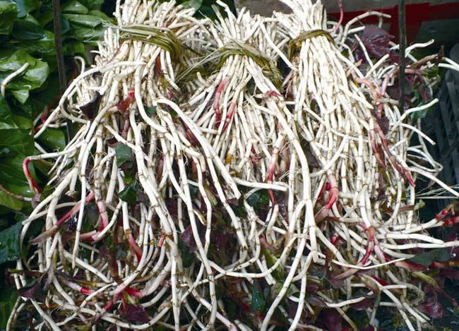 深究魚腥草的功效 魚腥草還能這樣吃