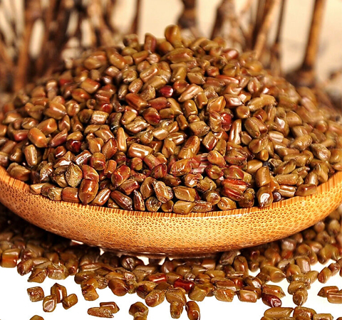 決明子的作用有哪些 揭決明子的適用人群