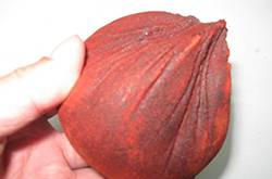 血竭的功效與作用及食用方法大全