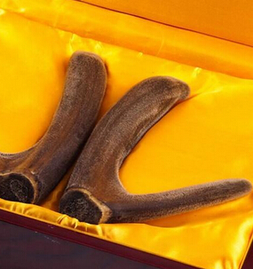 鹿茸的功效與作用 補(bǔ)腎壯陽補(bǔ)益氣血