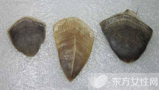 穿山甲鱗片的作用 食用方法與禁忌