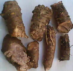 紅景天的功效與作用　紅景天的吃法