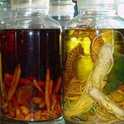 肉蓯蓉怎么吃 肉蓯蓉泡酒配方