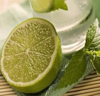 薄荷葉的功效與作用 檸檬薄荷蜜美容減肥