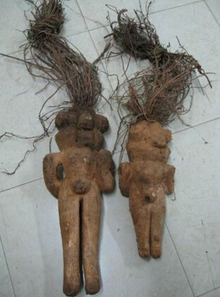 何首烏養(yǎng)血黑發(fā)功效 熟的何首烏更安全