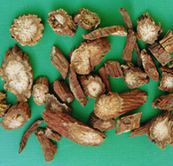 丹參的功效與作用 丹參粉美容養(yǎng)生的功效