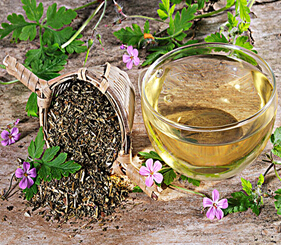 魚(yú)腥草的功效與作用 清肺良藥防輻射