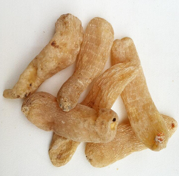 天麻的藥用功效 用于內(nèi)風(fēng)所致的頭暈