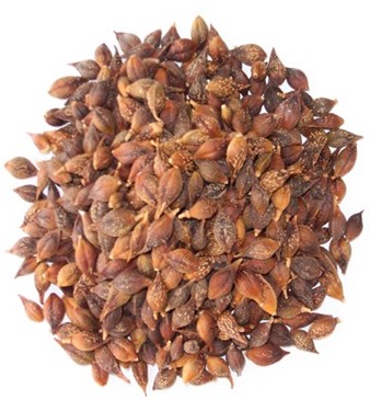 連翹的功效與作用 連翹治病六個(gè)小驗(yàn)方