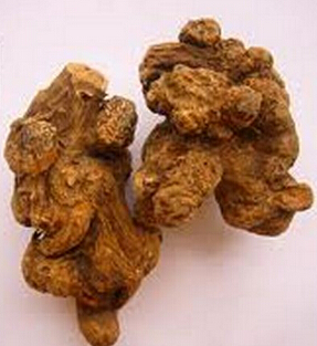 白術的功效與作用 白術與炒白術的區(qū)別