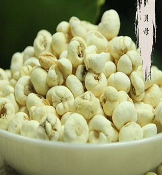 川貝母的功效與作用 川貝母與浙貝母的區(qū)別