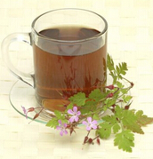 魚腥草的功效與作用 防輻射喝杯魚腥草茶