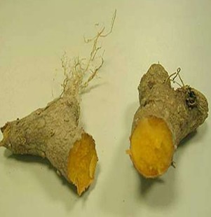 黃精泡酒配方 黃精酒有哪些作用