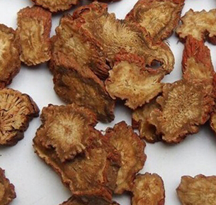 丹參的使用方法 丹參溫病熱入營血